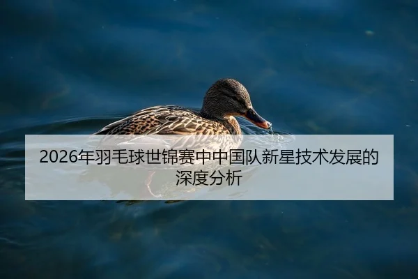 2026年羽毛球世锦赛中中国队新星技术发展的深度分析