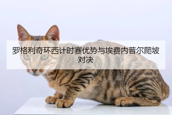 luo-ge-li-qi-huan-xi-ji-shi-sai-you-shi-yu-ai-fei-nei-pu-er-pa-po-dui-jue-2-509.jpg