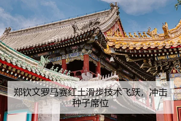 zheng-qin-wen-luo-ma-sai-hong-tu-hua-bu-ji-shu-fei-yue-chong-ji-zhong-zi-xi-wei-3-843.jpg