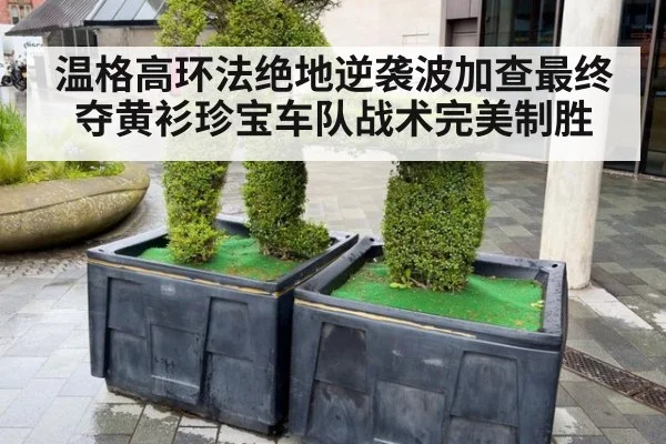温格高环法绝地逆袭波加查最终夺黄衫珍宝车队战术完美制胜