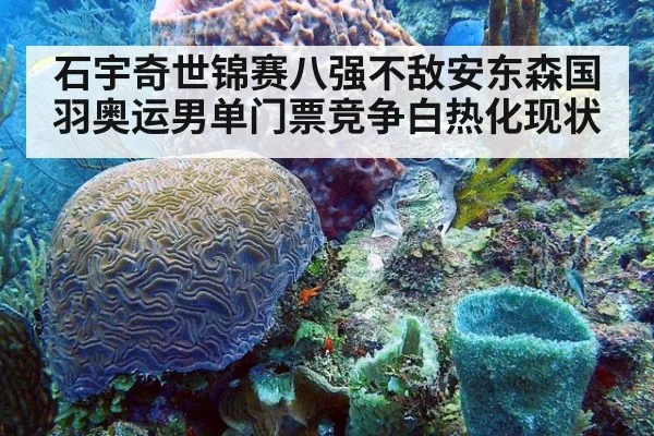 石宇奇世锦赛八强不敌安东森国羽奥运男单门票竞争白热化现状